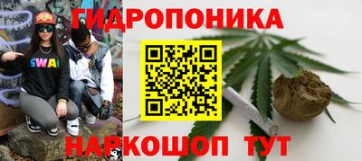 прущие грибы Нальчик