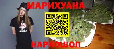 прущие грибы Нальчик
